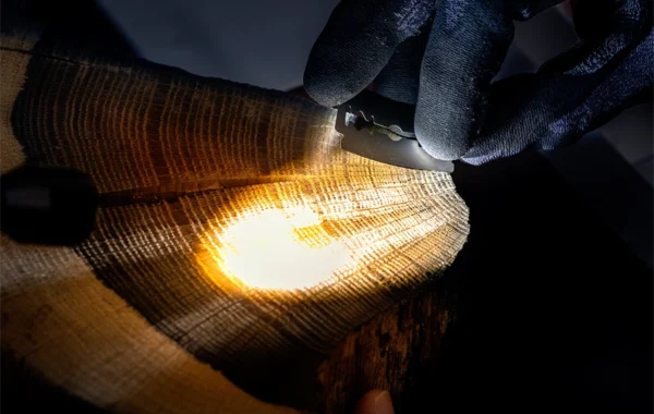 Shard is illuminated